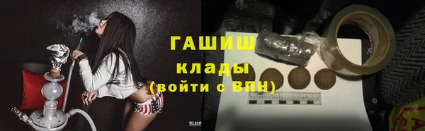 индика Сосновый Бор