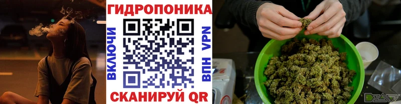 Бошки Шишки OG Kush Губкин